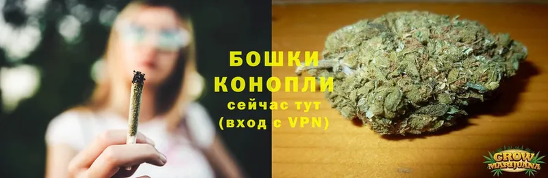 Бошки Шишки THC 21%  Качканар 